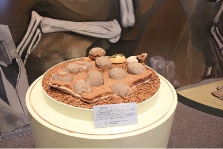 ジオファンタジックルーム