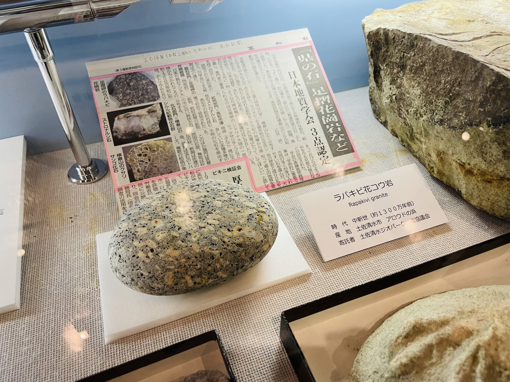 ラパキビ花コウ岩