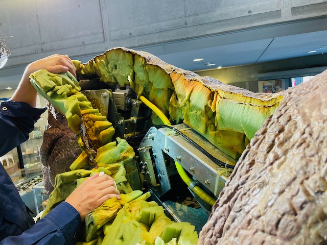 メンテナンス中のチラノサウルス