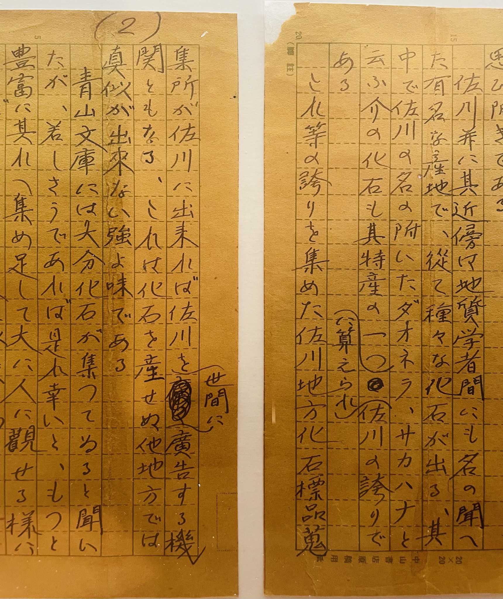 A letter from Dr. Makino